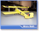 Micro Moth